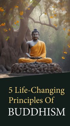 a buddha statue sitting on top of a rock in front of a tree with the words, 5 life - changing principals of buddhistism