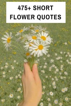 a person holding flowers in their hand with the words, 474 short flower quotes