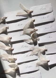 several pieces of paper with birds on them and some words written in white ink above them