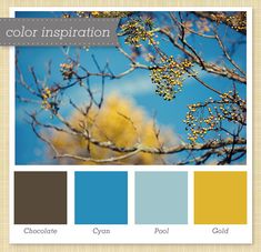 the color palette is blue, yellow and brown with some green leaves on it's branches