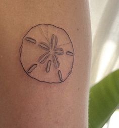 a small sand dollar tattoo on the right thigh, with an image of a starfish in it's shell