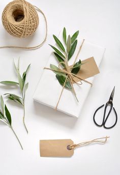 wrapping paper, twine and scissors on a white surface with green leaves next to it