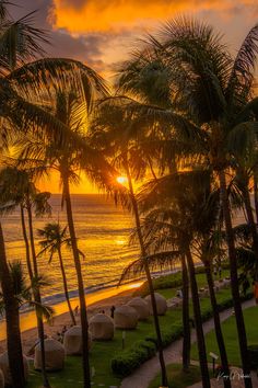 the sun is setting behind some palm trees on the beach in front of the ocean