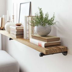 a shelf with books and a plant on it