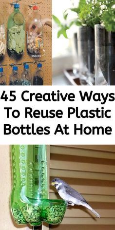 some bottles that have plants in them and the words creative ways to reuse plastic bottles at home