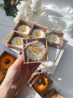 someone is holding some small boxes with daisies in them