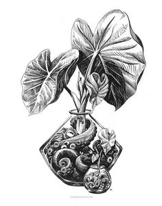 an ink drawing of a plant in a vase