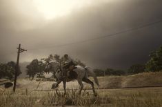 a man riding on the back of a white horse across a lush green field under a cloudy sky