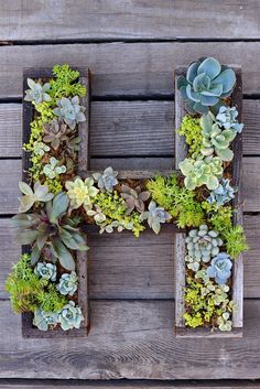 the letter h is made out of wood with succulents and plants in it