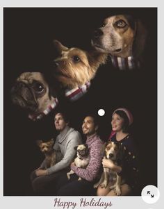 Christmas Card Photo Ideas With Dog, Awkward Family Photos Christmas, Awkward Family Pictures, Funny Couple Photos, Awkward Family Christmas, Family Dog Photos, Funny Christmas Photos, Funny Family Photos, Awkward Photos