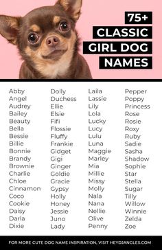 a small dog with the names of its name in front of it's face