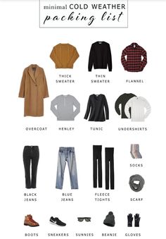 Cold Weather Packing List, Winter Capsule Wardrobe Travel, Winter Travel Wardrobe, Cold Weather Packing, Minimal Packing, Nyc Winter Outfits, Fashion Travel Outfit, Winter Travel Outfit