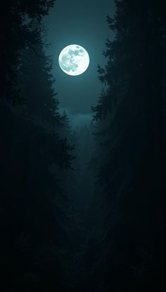 a full moon is seen through the trees in this dark night sky with some fog