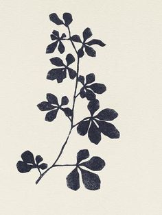 an ink drawing of a branch with leaves