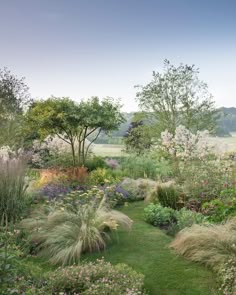 a garden with lots of flowers and grass