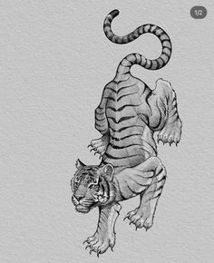 an ink drawing of a tiger jumping up into the air with its tail curled back