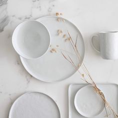 white plates and cups are arranged on a marble table top with dried grass in between them