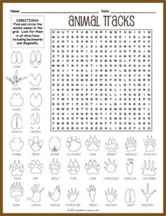 the animal tracks worksheet is shown in black and white with brown trimmings