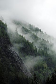 the mountains are covered in fog and trees