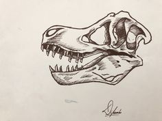 a black and white drawing of a dinosaur's skull