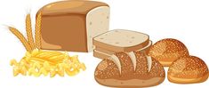 bread and wheat on a white background