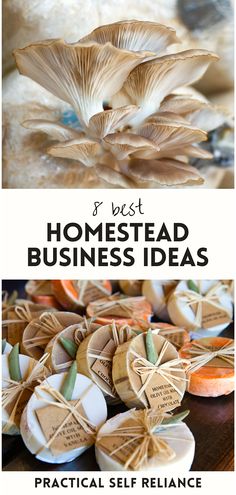 mushrooms with the words best homestead business ideas on them