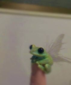 a small green frog sitting on top of a persons finger in front of a mirror