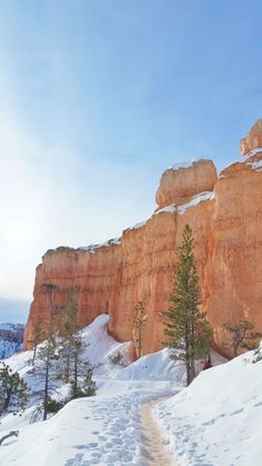 a person walking up a snow covered path in the mountains with trees on both sides