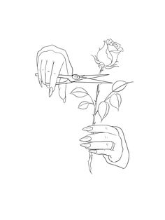 a drawing of someone cutting a rose with scissors