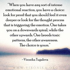 an image with the quote when you have any sort of intense emotion reaction, you have a choice look for proof that you should