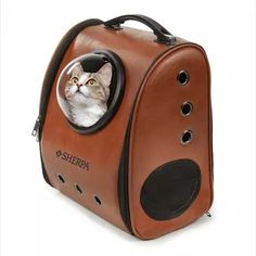 a cat in a dog carrier with its head sticking out the window and looking at the camera