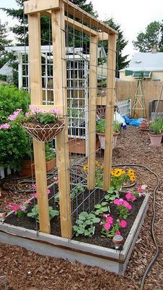 an outdoor garden area with various plants and flowers in the ground, including trelliss