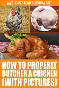 how to properly butcher a chicken with pictures on the front cover and side by side