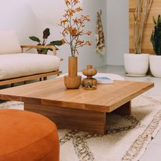 a living room with two couches, a coffee table and a plant in a vase