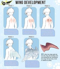 the stages of wing development in an anime character's body and head, with instructions on how to use wings