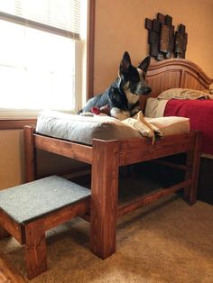 a dog sitting on top of a wooden bed