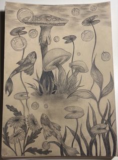 a drawing of mushrooms and birds in the grass