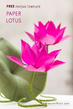 two pink lotus flowers sitting on top of a green leafy plant with text overlay that reads free predising template paper lotus