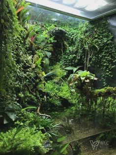 the inside of a building with plants growing on it