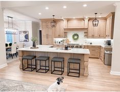 a dog sitting in the middle of a kitchen with an island and bar stools