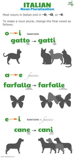 an italian language poster with cats, butterflies and butterfly shapes on it's side