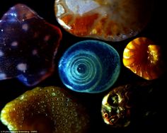 several different colored rocks sitting next to each other on top of a black surface with white dots