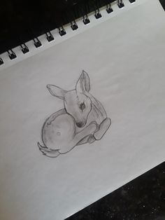 a pencil drawing of a baby kangaroo laying on its back next to it's mother