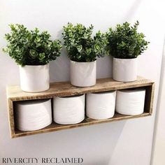 there are four potted plants on the shelf above the toilet paper roll holders in this bathroom