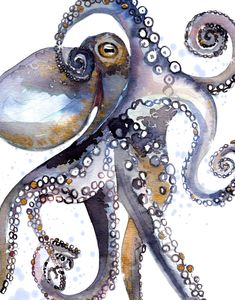 an octopus is painted in watercolor and ink