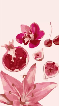 an abstract painting of pink flowers and fruit