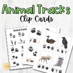 animal tracks clip cards for kids to use with their animals and other things in the background