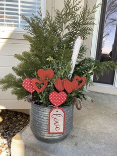 a potted plant with some hearts on it