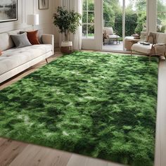 a living room filled with furniture and a green rug