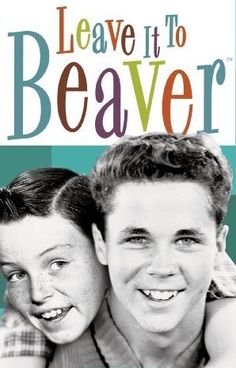 the cover of leave it to beaver's book, with two young boys smiling